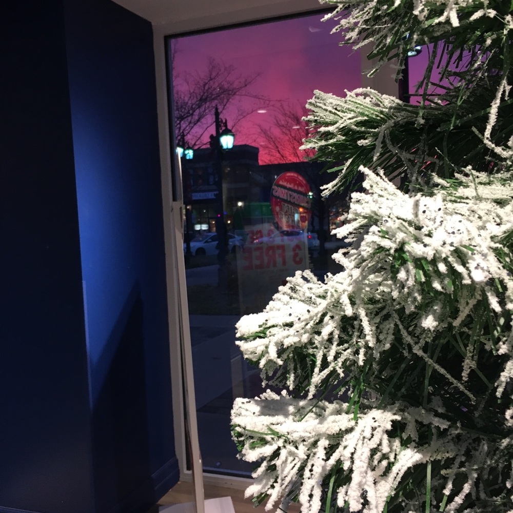 Meet your Posher, Carlie